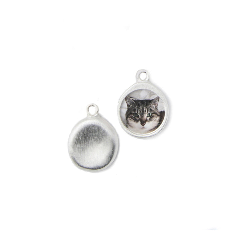 Pet Silver Charm thumbnail image