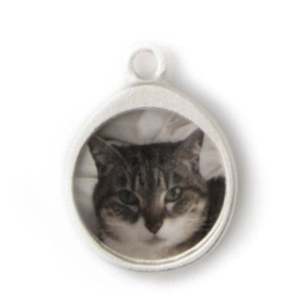 Pet Silver Charm thumbnail image