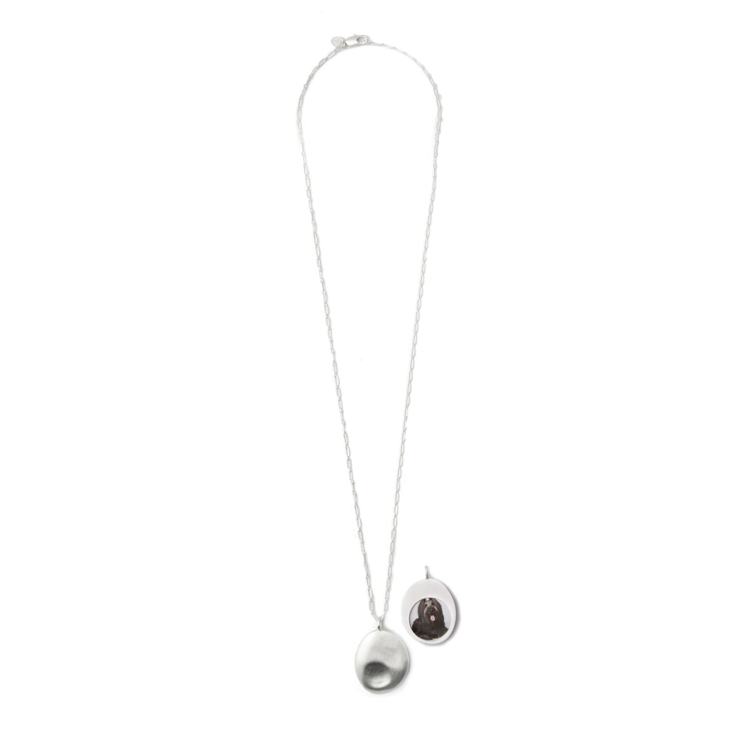 Pet Pendant - Large
