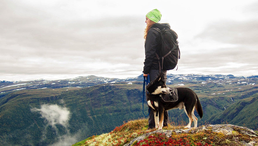 Your Dog is the Workout Inspiration You Needed this Summer