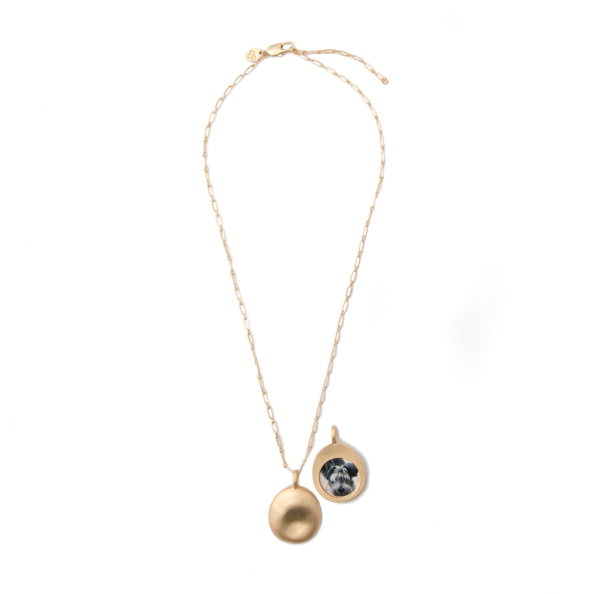 Pet Pendant- Medium